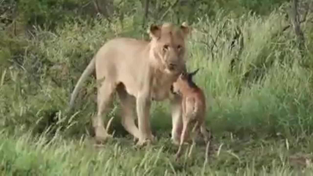 Change Can Happen Anytime #shorts #shortvideo #video #virals #videoviral