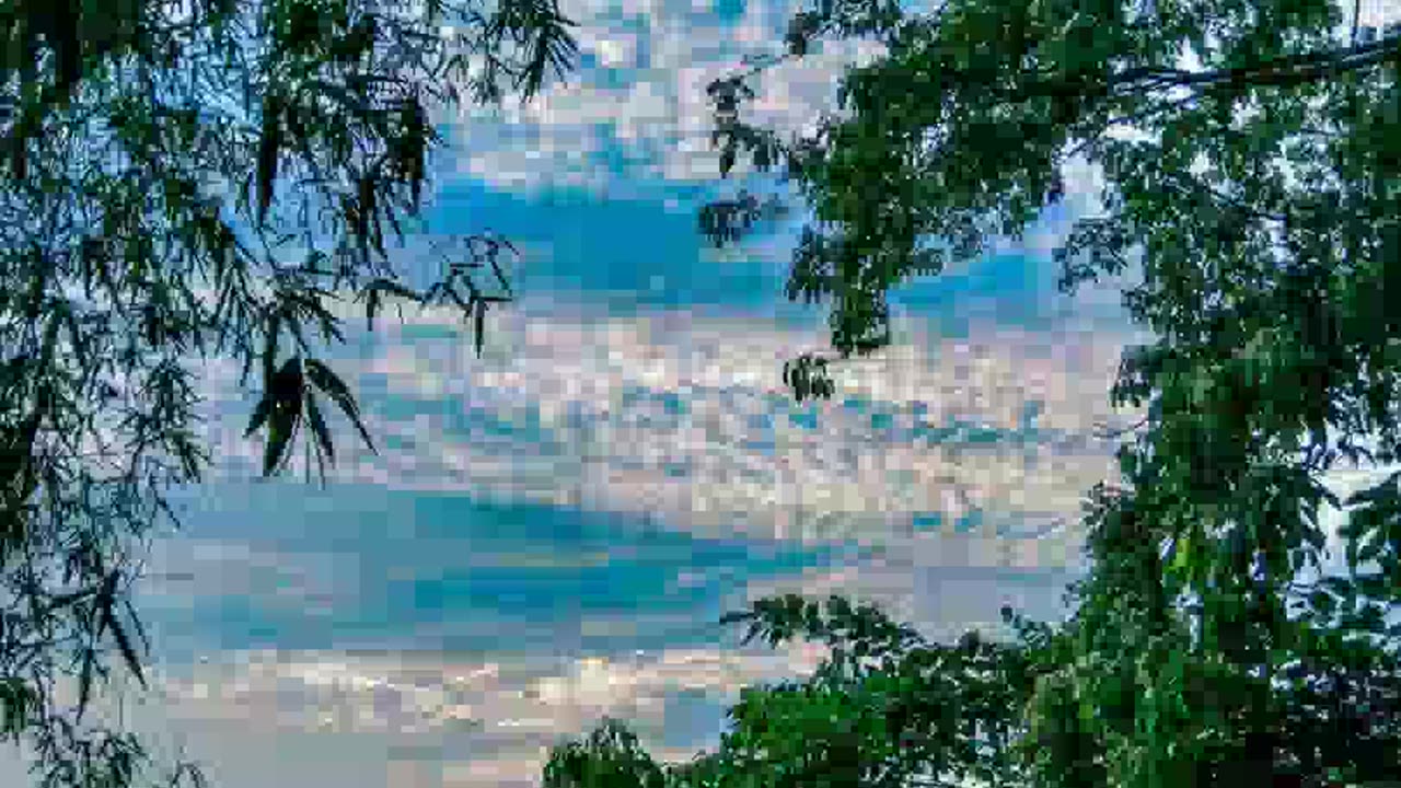 @statusbangla