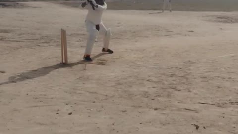 cricket funny