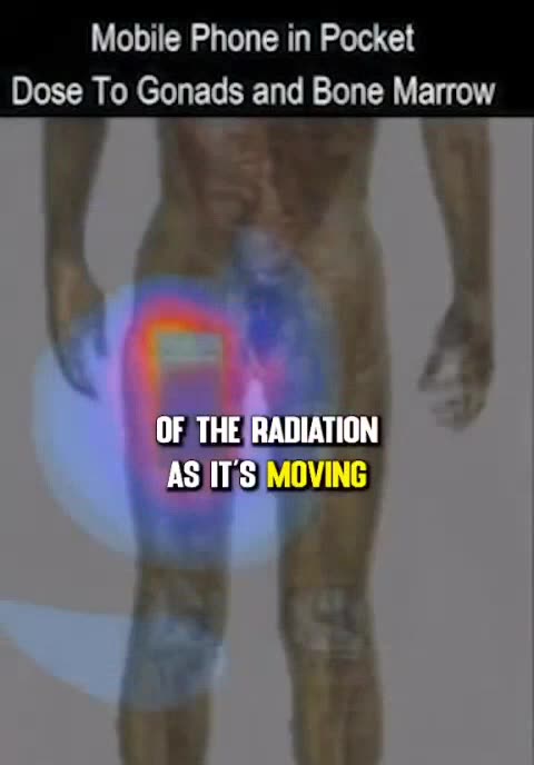 Cell phone radiation in your pocket