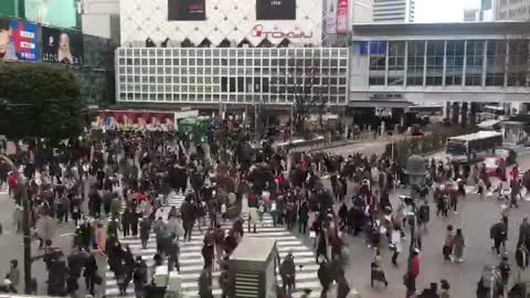 TimeLapse of Tokyo Shibuya Crossing