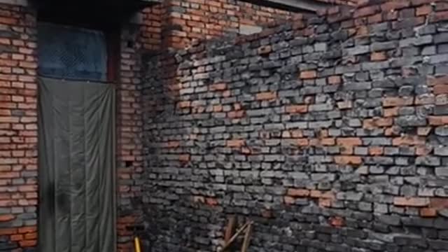 Mind the dog, watch the video