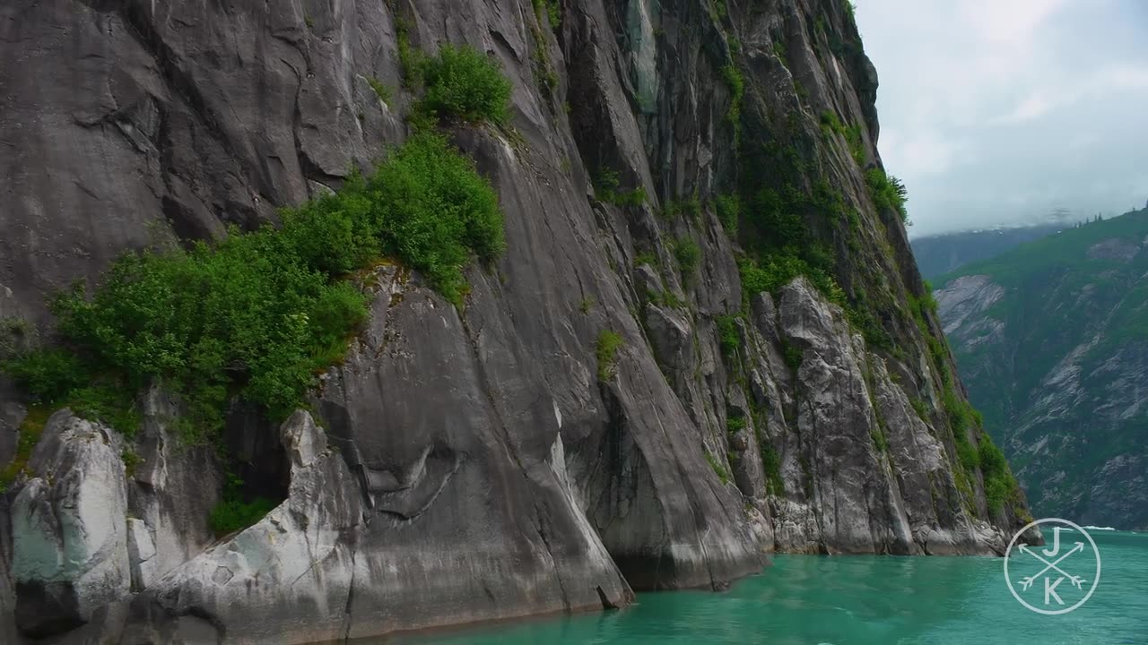 8k video with entertainment