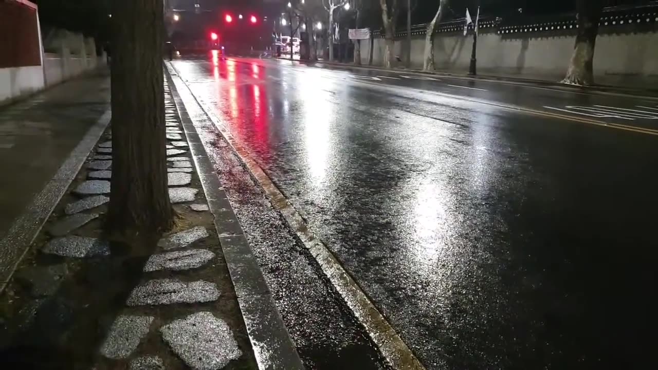 20200329_V3_S03(Zxcp2KR12pw)가로수에서 통곡하시는 빗속의 두여인이 누구인지 궁금하지만