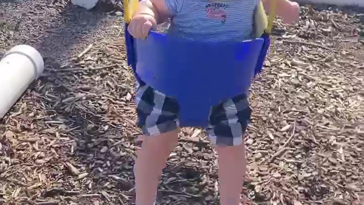 Day at the Park