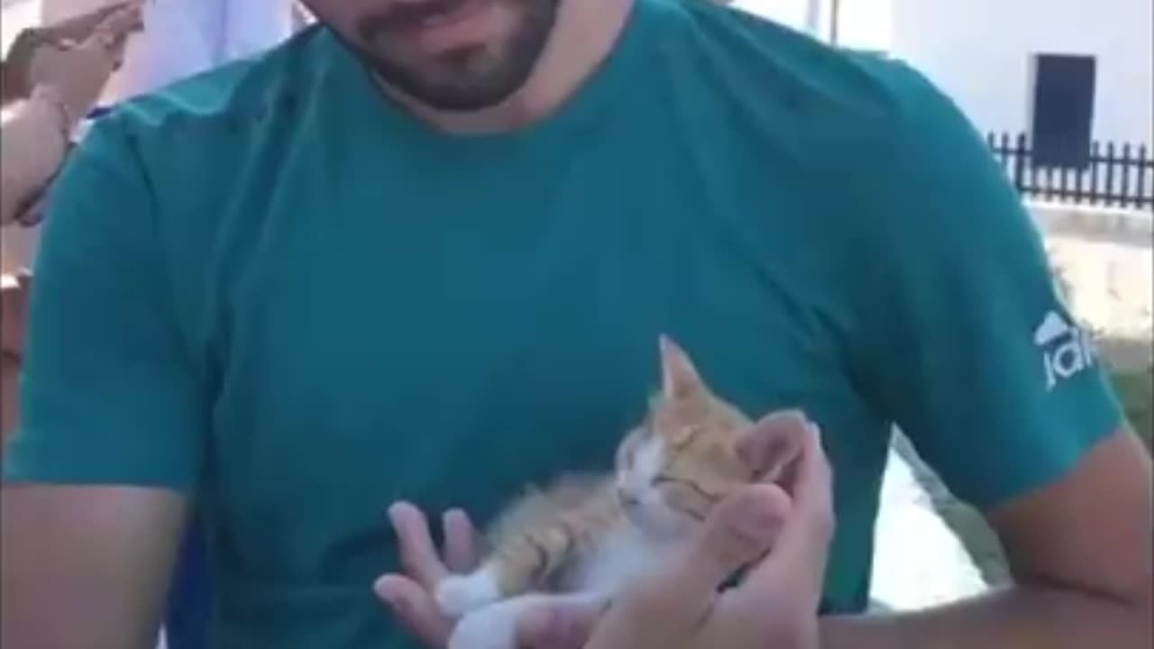 Memes and funny videos i found on the Internet Part 15 short video