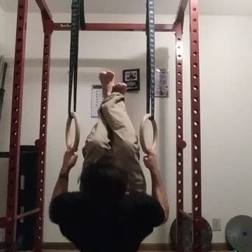 Ring Rows (Index/Middle)