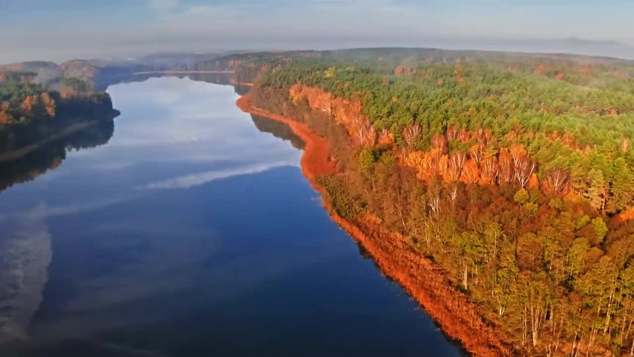 Enchanting Autumn Forests with Beautiful Piano Music