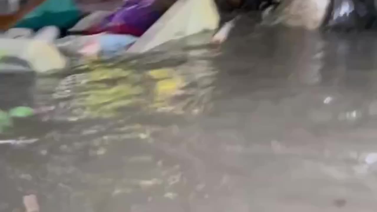 Video Shows Russians Up to Their Necks in a Flooded House