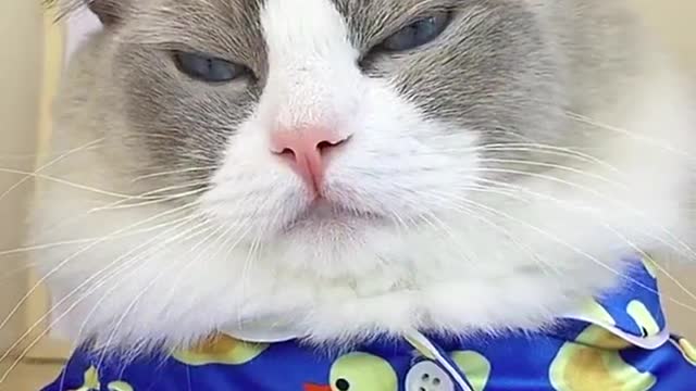 When you want to pick something up… use you hand, for real. 😂