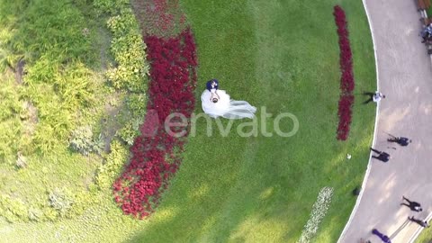 Garden Wedding