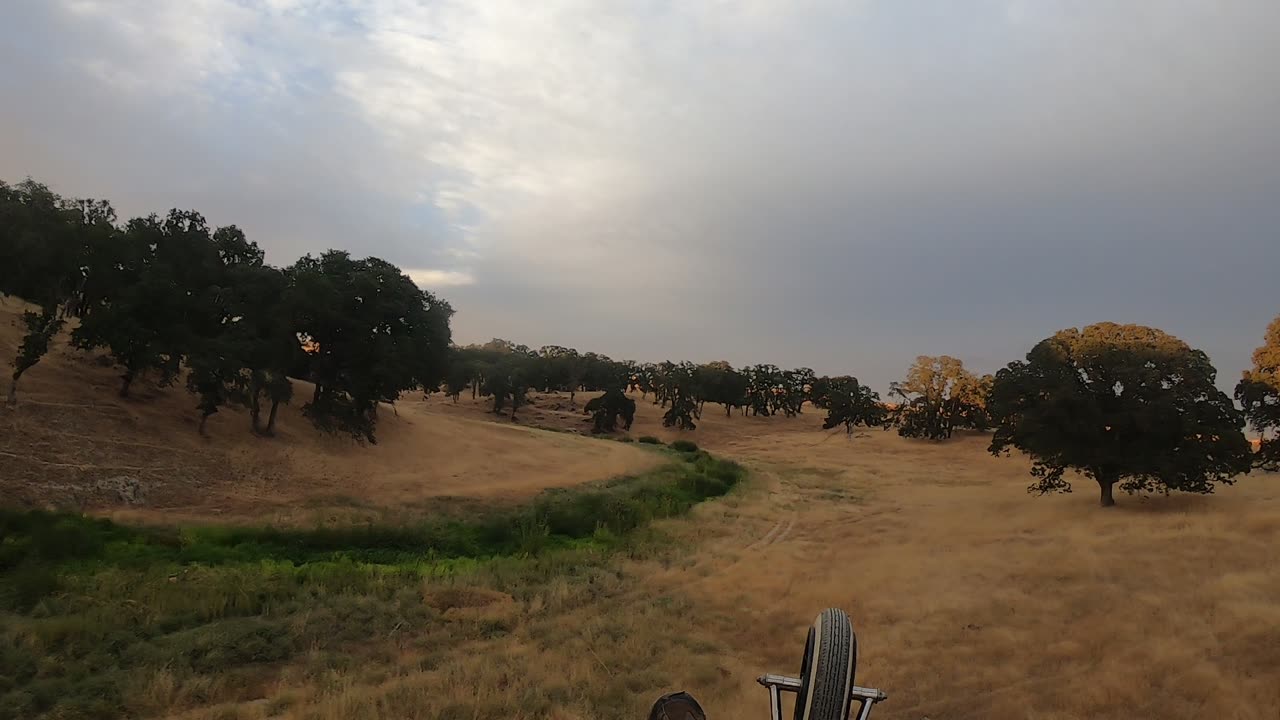 230820Go_PPGEDHFirstRunIntoWoodsCreek