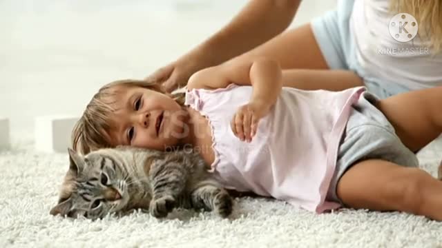 Funny cat playing with babies