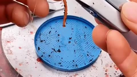 This is a beautiful and charming water-dwelling species