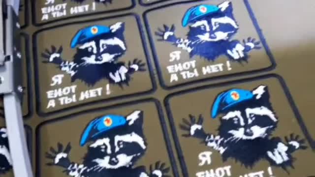 🦝 Soon I will have such chevrons