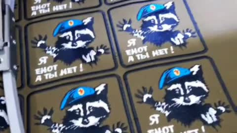 🦝 Soon I will have such chevrons