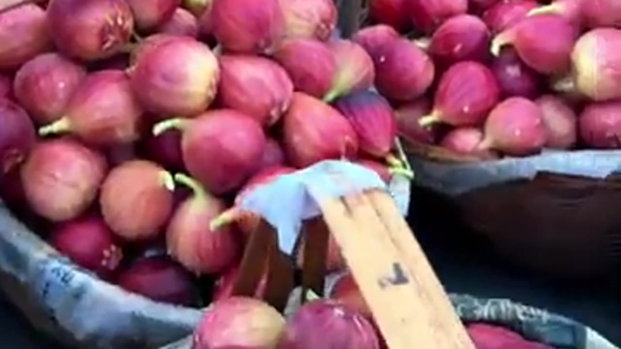 Harvest Figs fruit #fruitgarden #farming #harvesting