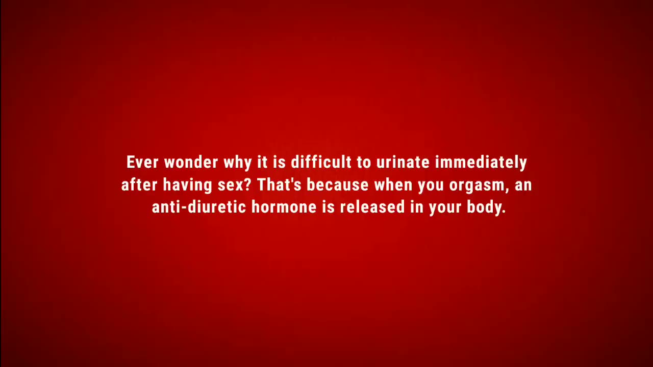 sex what is it good for absolutely everything.