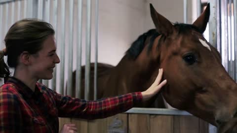 young women pet a horse at the stable in Legnica