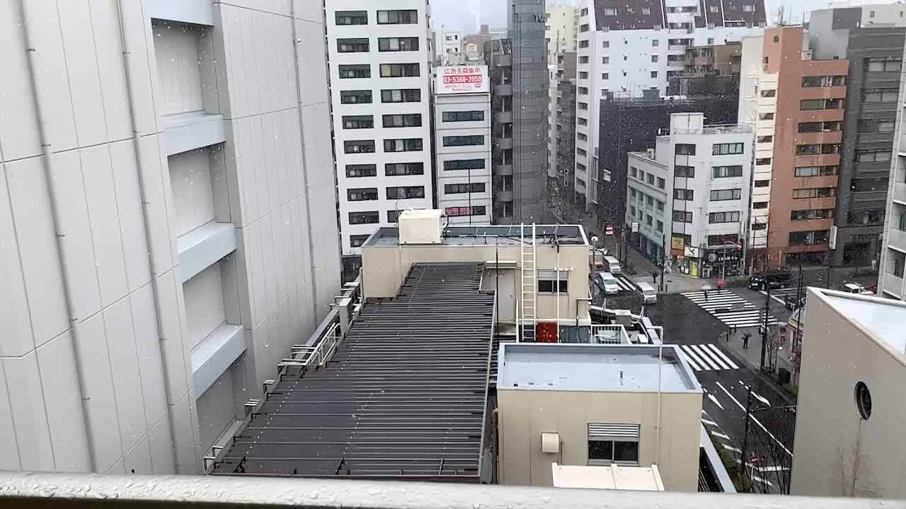 Snowing in Tokyo in March