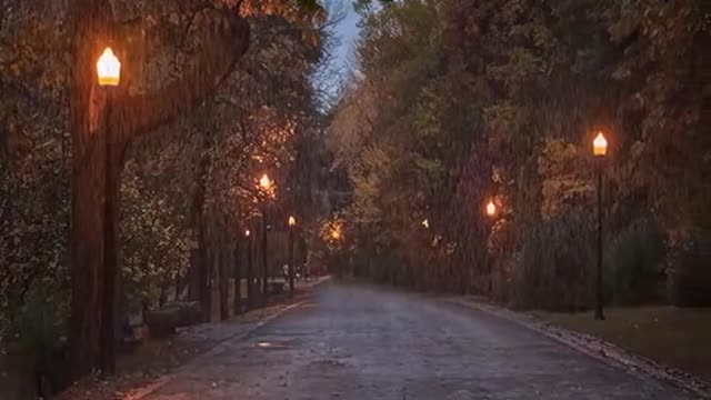 Autumn is slow#nature#pretty#landscape#scenery#foryou#cure