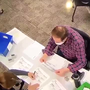 Liberal Voting Cheaters 2022