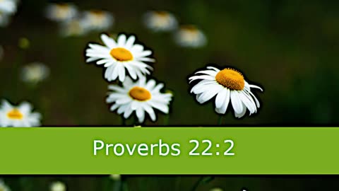 1 Minute -- Proverbs 22 Devotional -- March 22, 2023