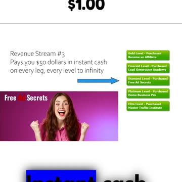 Power lead system instant cash commissions
