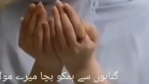 Dua