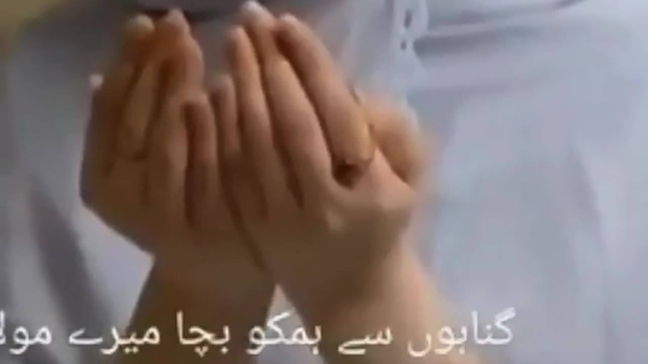 Dua