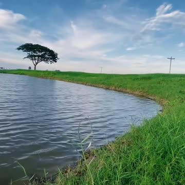 Gr liton Natural Clips, Natural Video Clips # - 97