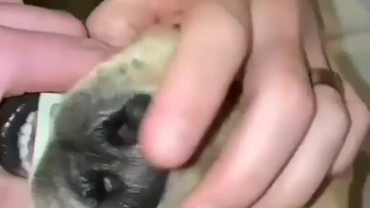 Please we are poor