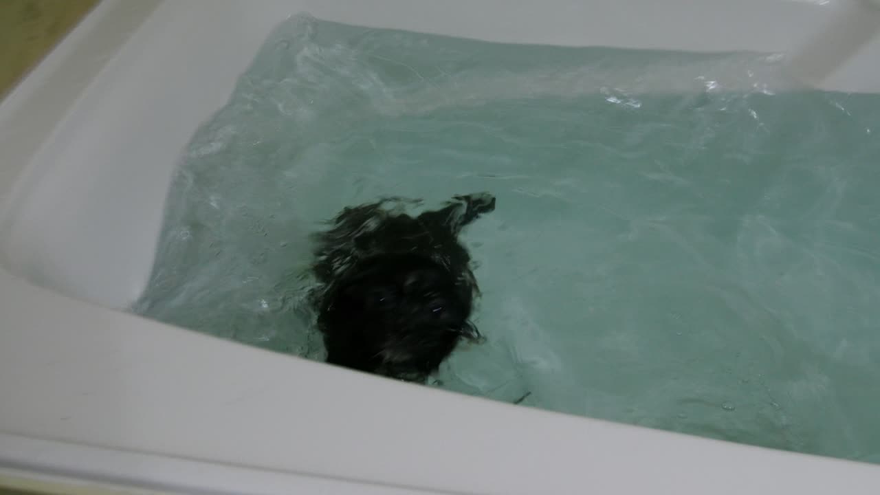 P9290095