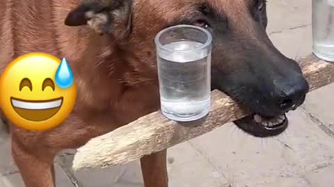 Balance training?