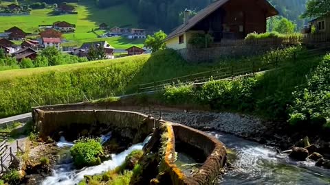 Beauty of nature 🌱 📍Gruyères Region