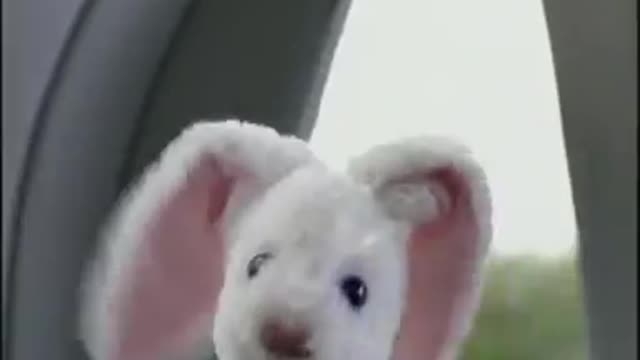 Blaupunkt Banned Commercial Stuffed Animals Sex