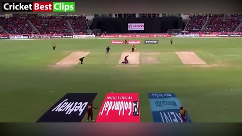 Top 10 W. T. F moments in Cricket