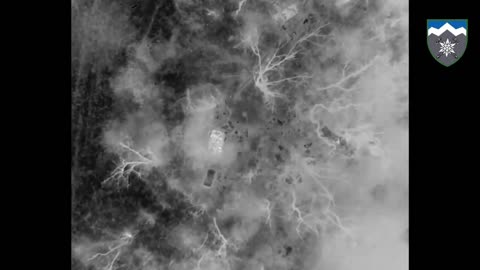 They say we don't see anything at night...