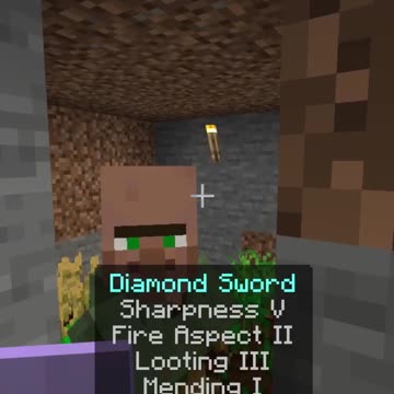 Stupid Green Coat Bum! Minecraft