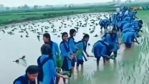 School ki ladkiyan tumhari
