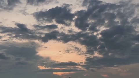 Nature's beauty#shorts#video#virel