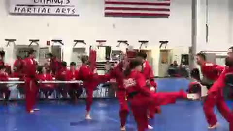 Taekwondo
