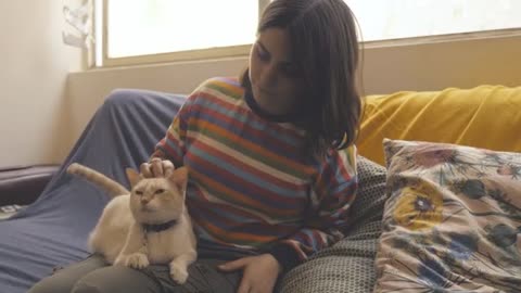 A woman sits on a couch and pets a cat