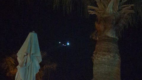 Plane nearly hits palm tree in Cyprus!