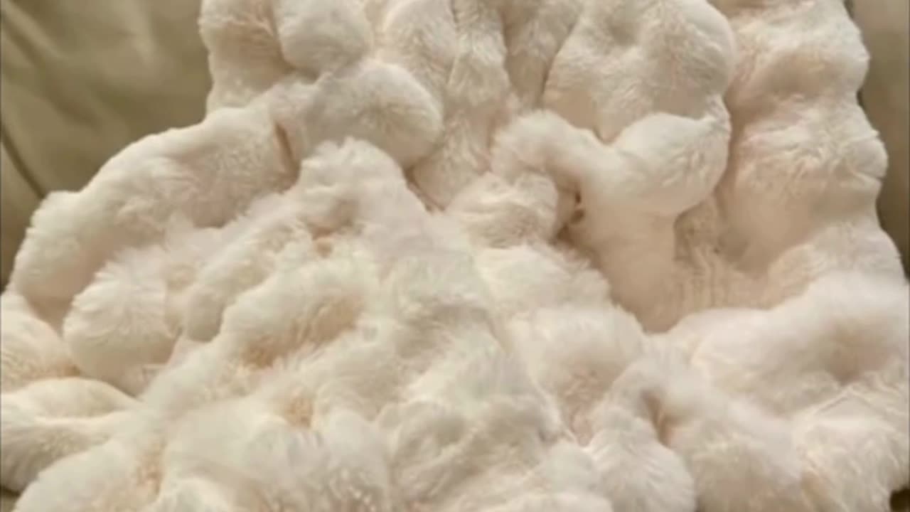 Cozy Bliss Faux Fur Throw Blanket for Couch