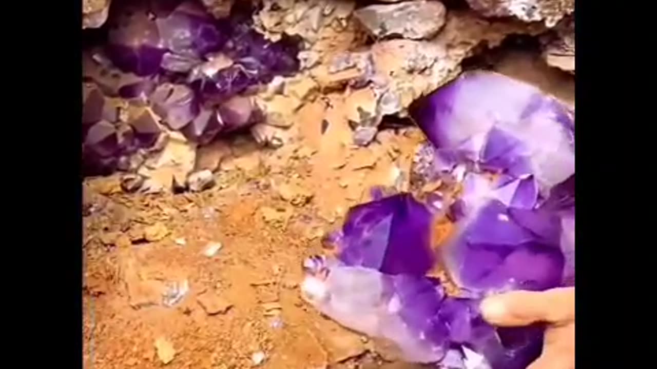 great hunt