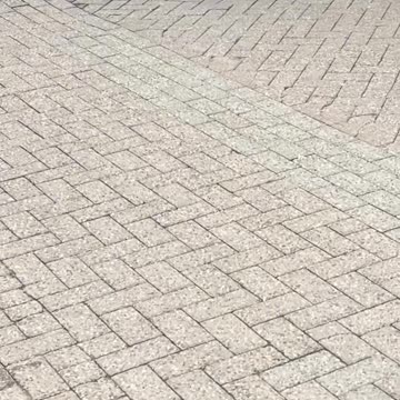 His mama taught him well.