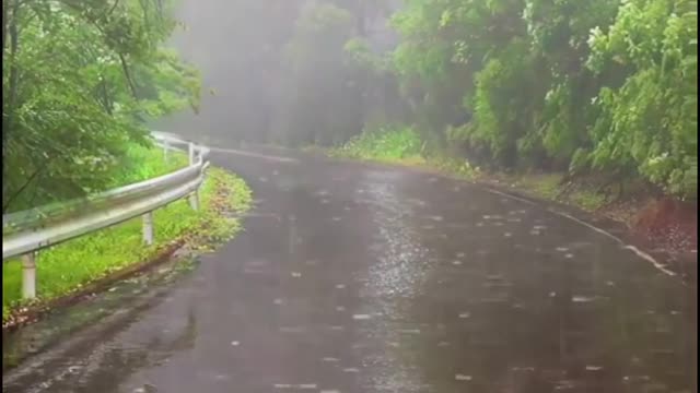 Rain 🌧️☔ sound