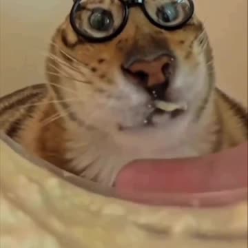 Eye protection against food shrapnel