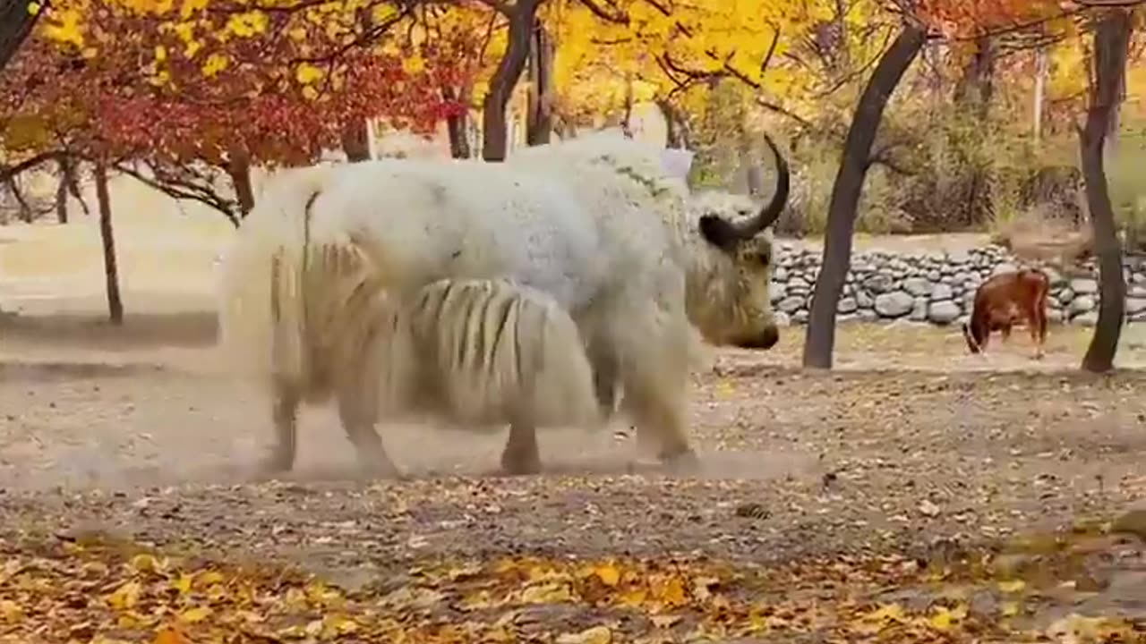 Autumn and natural beauty